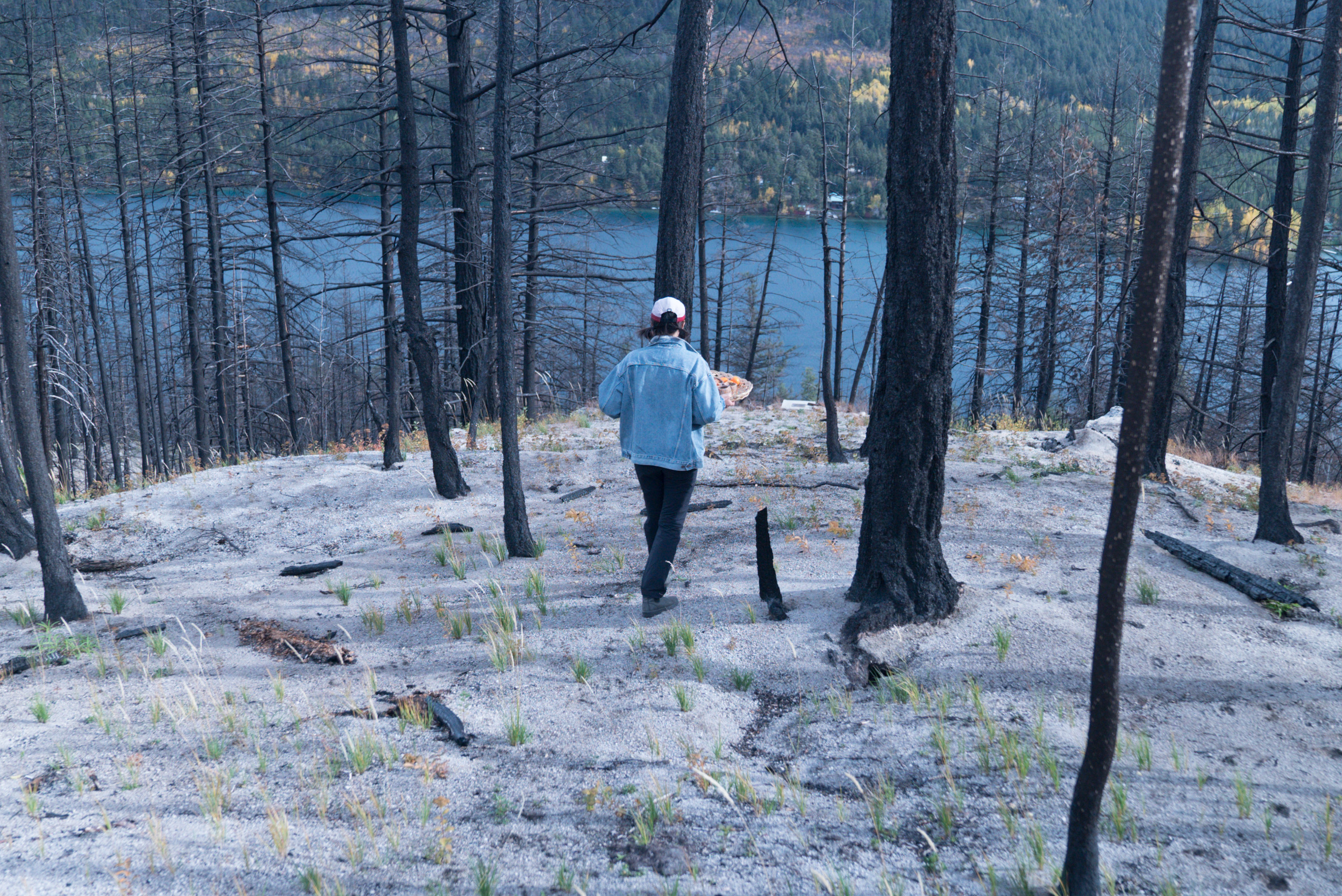 Figure 2. Gillian Walks through the 2023 Downton Lake Wildfire burn scar in fall 2024 (Courtesy of Stephanie Koenig)