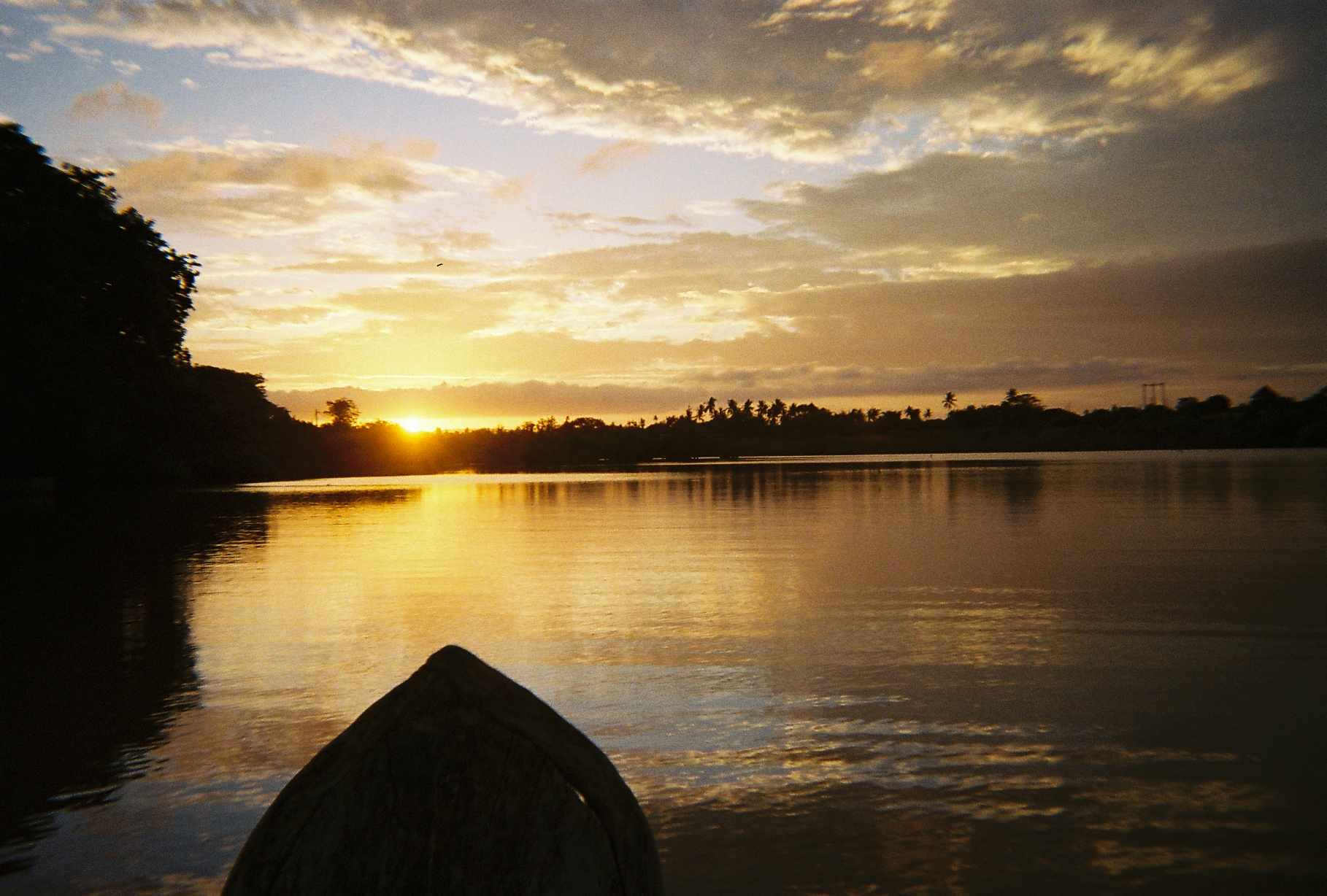 Figure 10. Estuary, Diani beach. Source: Author, 2025.