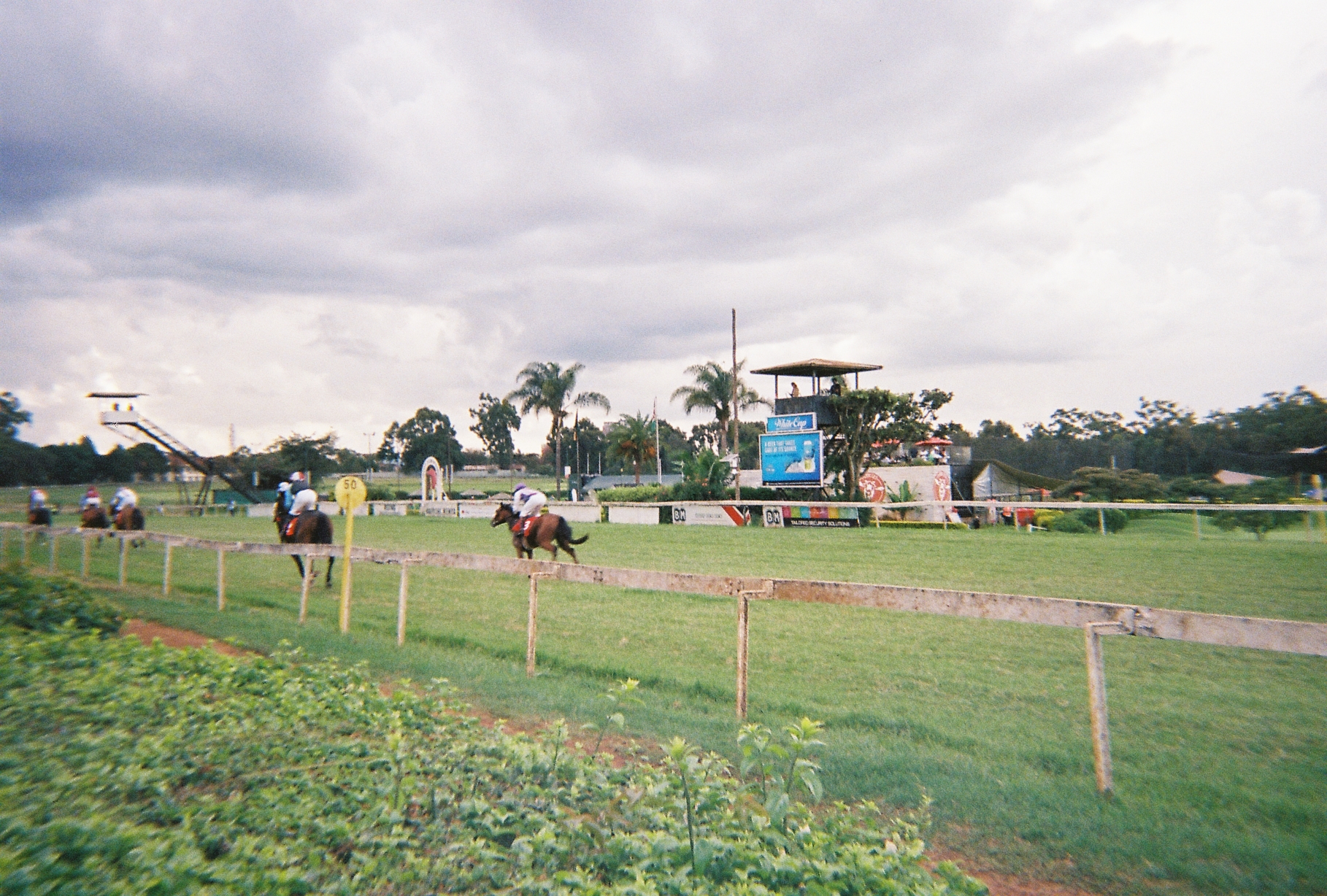 Figure 4. Horse race, Jockey Club of Kenya, Nairobi. Source: Author, 2025.